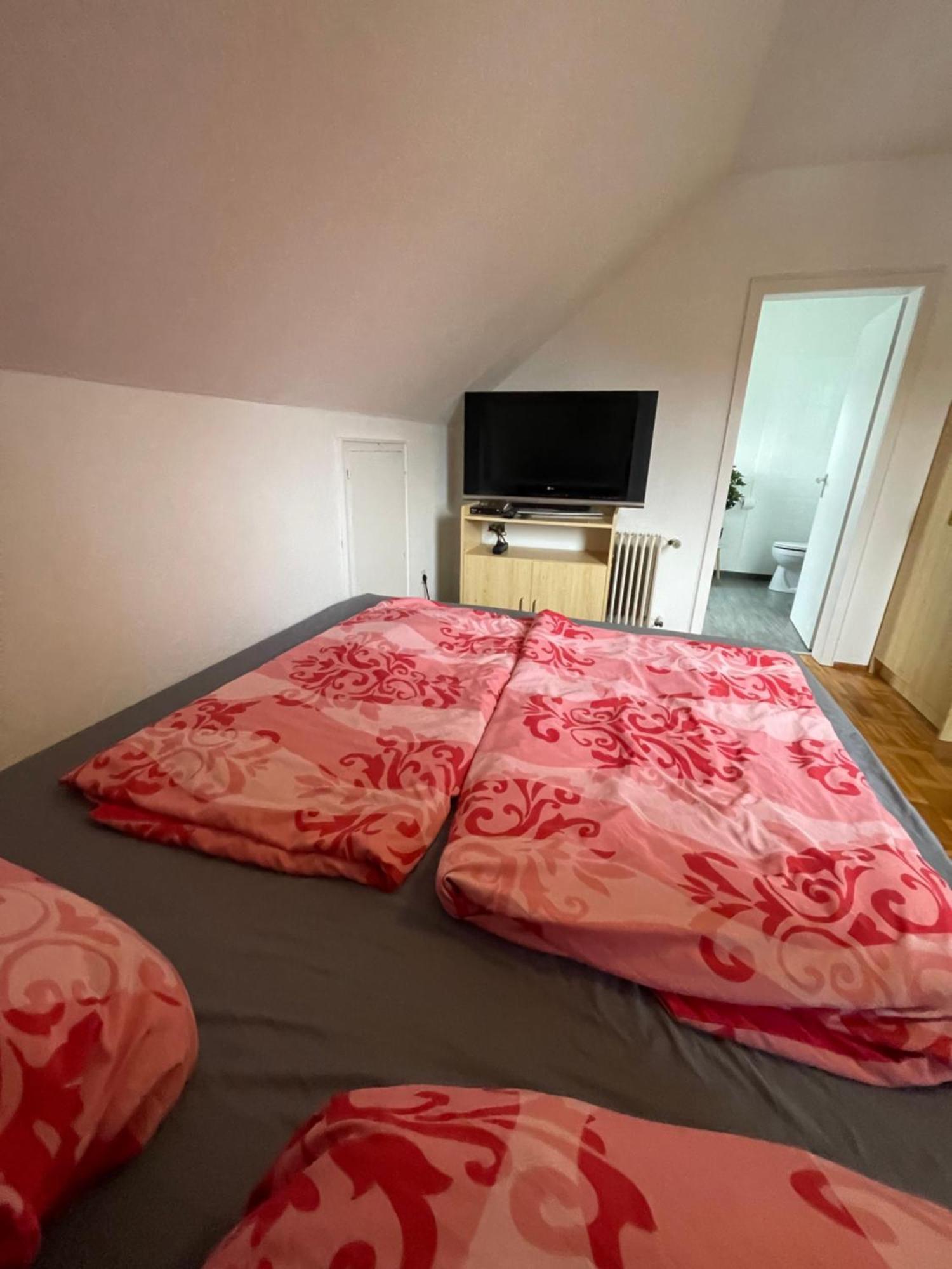 Fewo Zentral Willingen  Exteriér fotografie