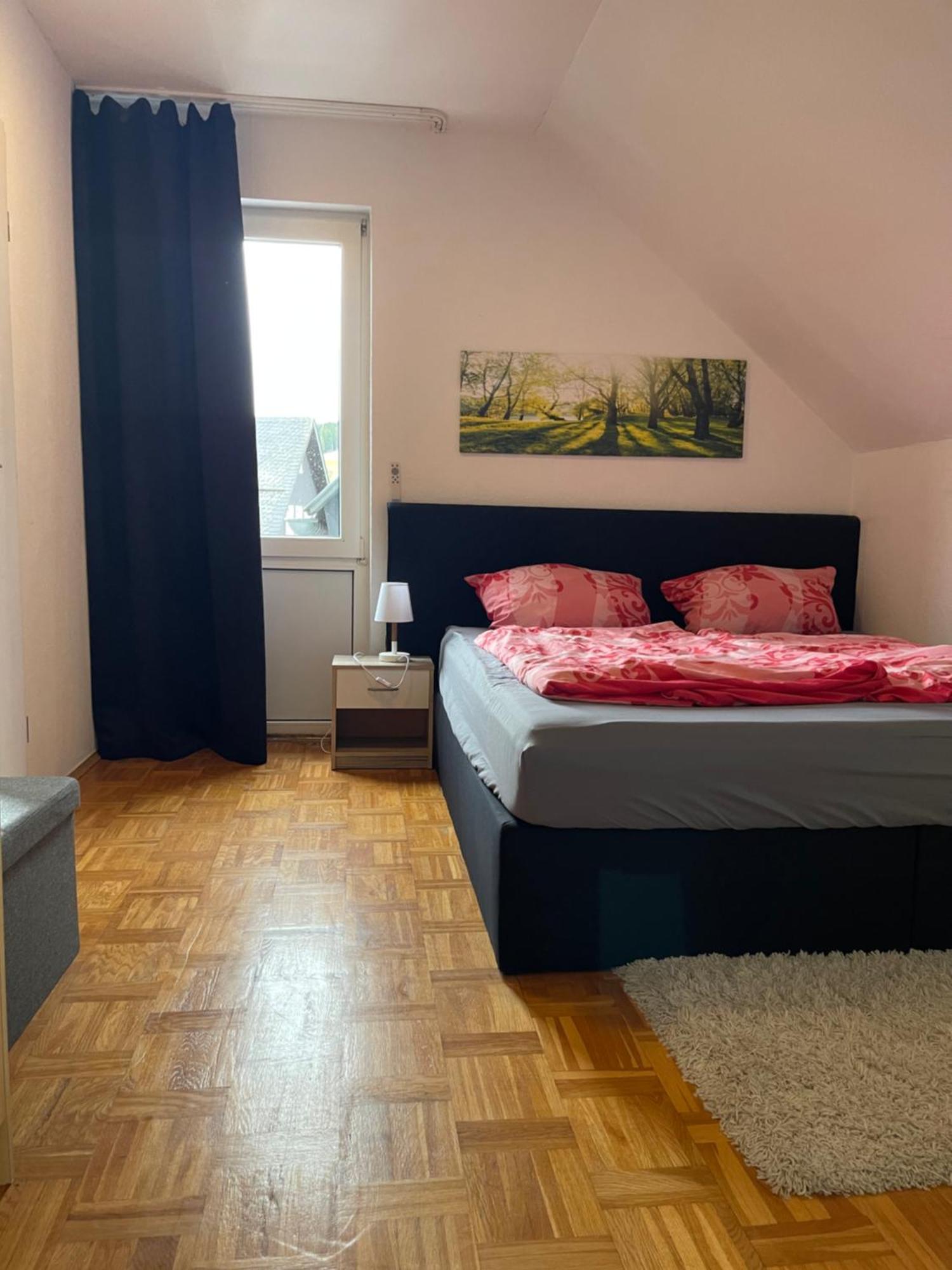 Fewo Zentral Willingen  Exteriér fotografie